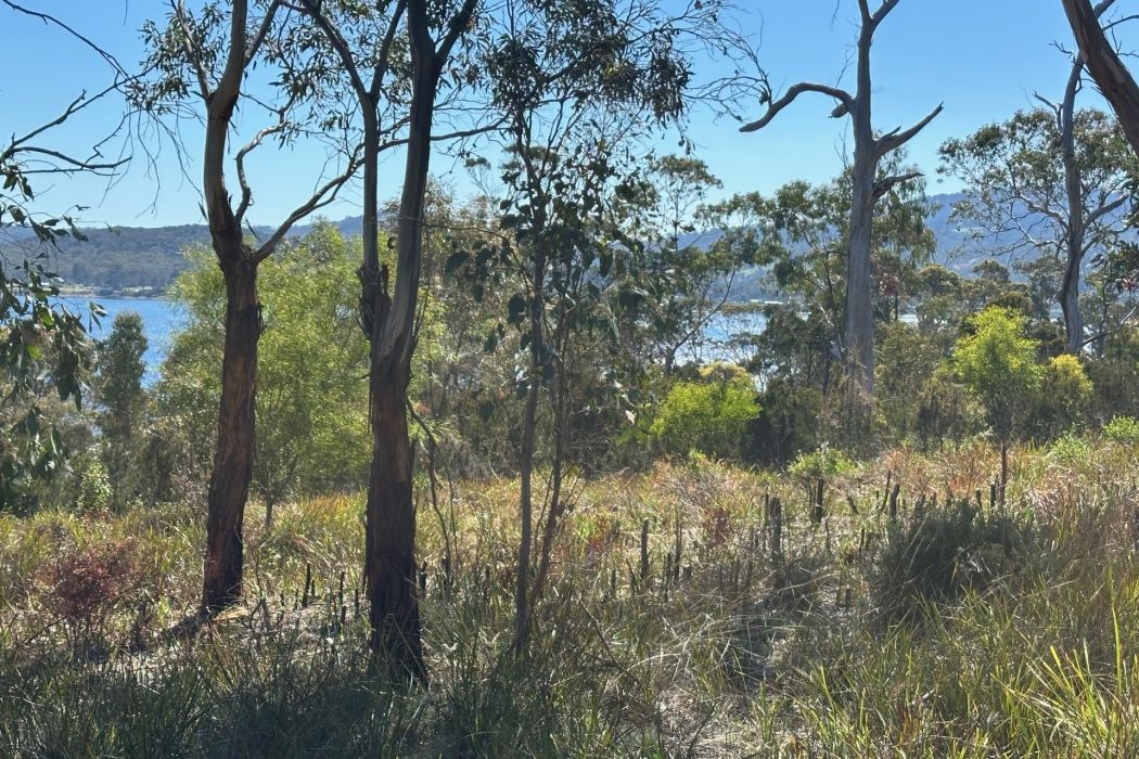 512 White Beach Road, White Beach, TAS, 7184