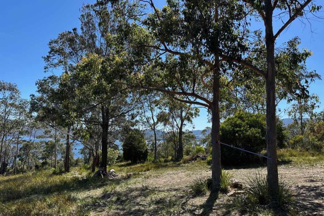 512 White Beach Road, White Beach, TAS, 7184