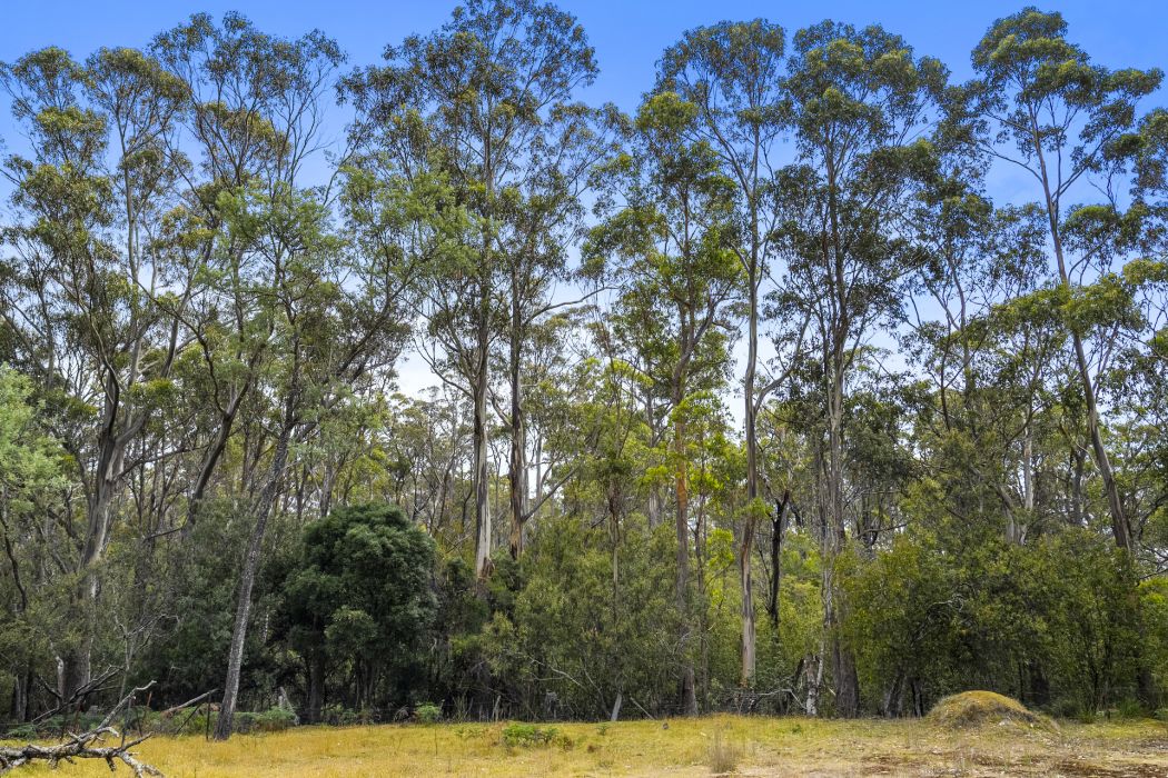 3901 Arthur Highway, Murdunna, TAS, 7178