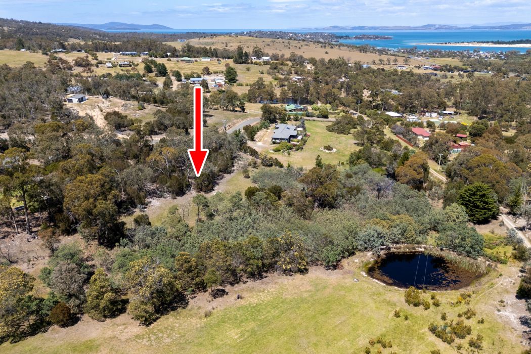 4 Grierson Drive, Forcett, TAS, 7173