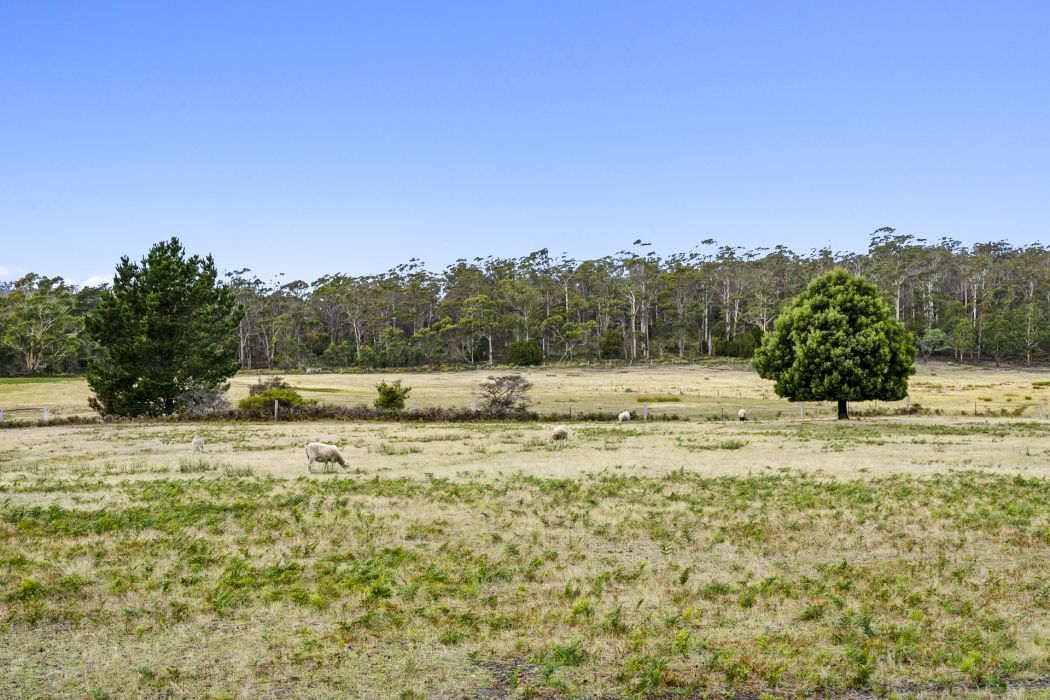 45 Kelletts Road, Sloping Main, TAS, 7186