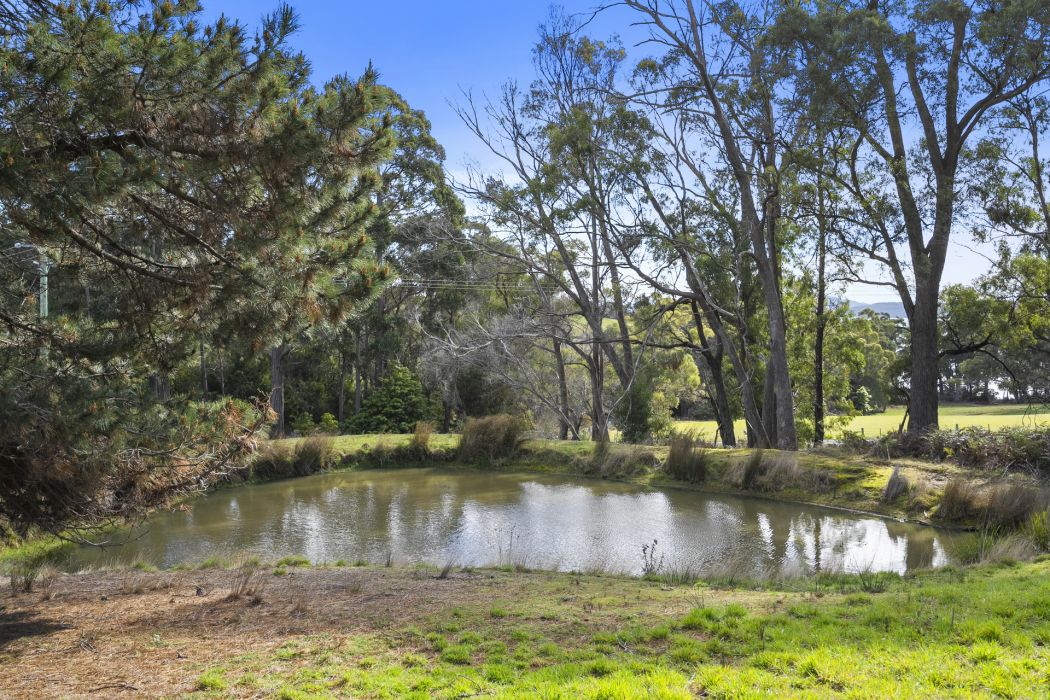 831 Nubeena Back Road, Koonya, TAS, 7187