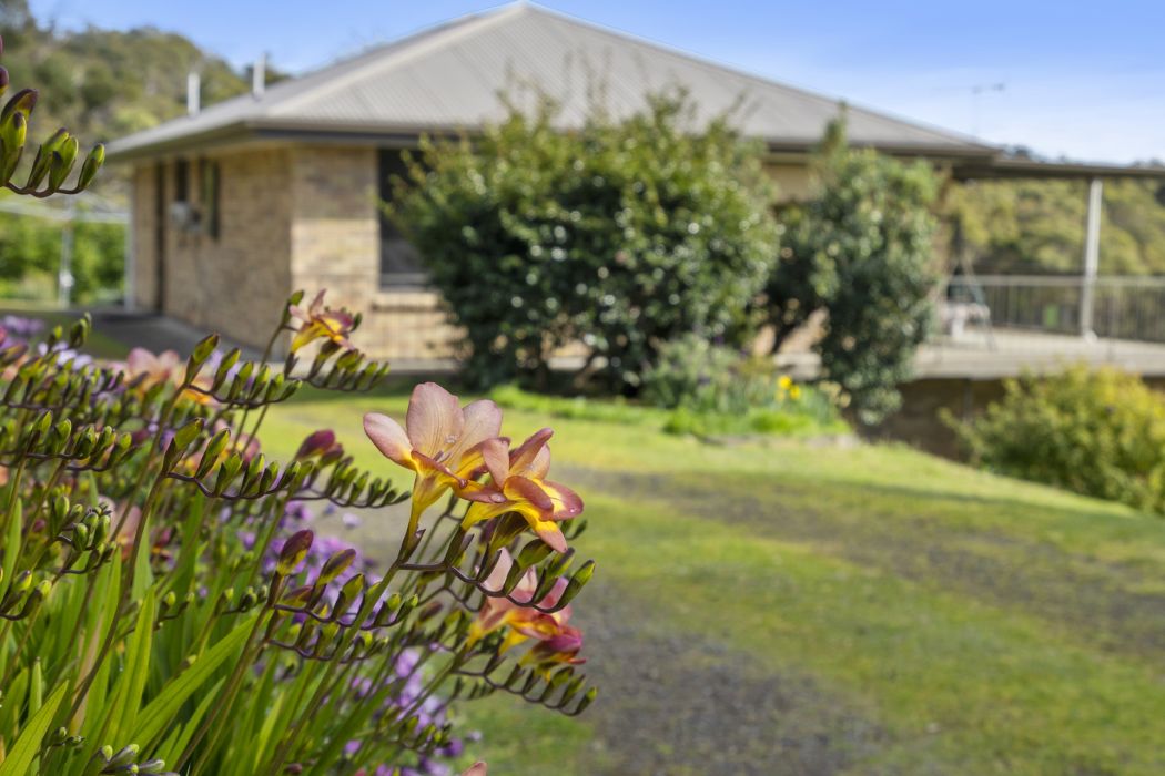 831 Nubeena Back Road, Koonya, TAS, 7187