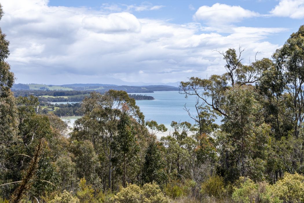 99A Nubeena Road, Koonya, TAS, 7187
