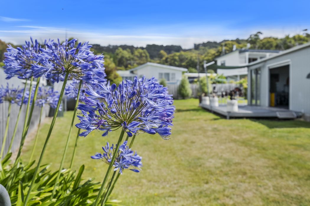6 Tasman Street, Port Arthur, TAS, 7182