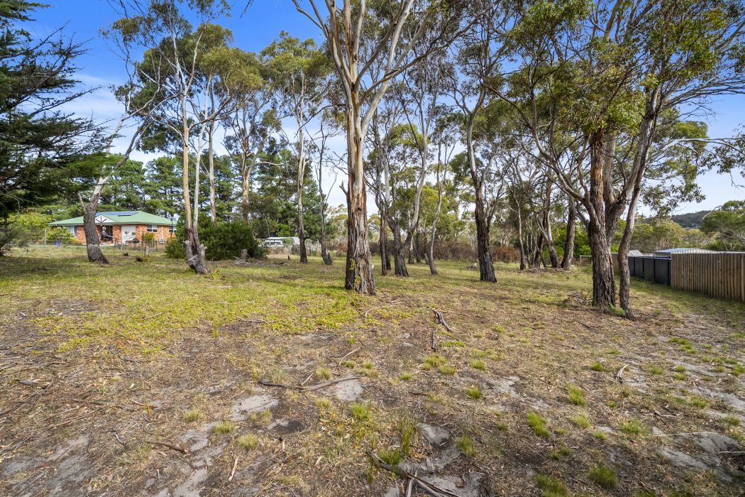 14 Colleen Crescent, Primrose Sands, TAS, 7173