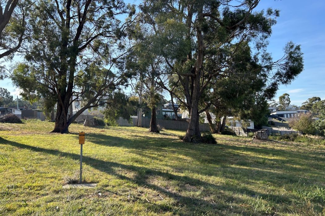 9 Boobyalla Street, Primrose Sands, TAS, 7173
