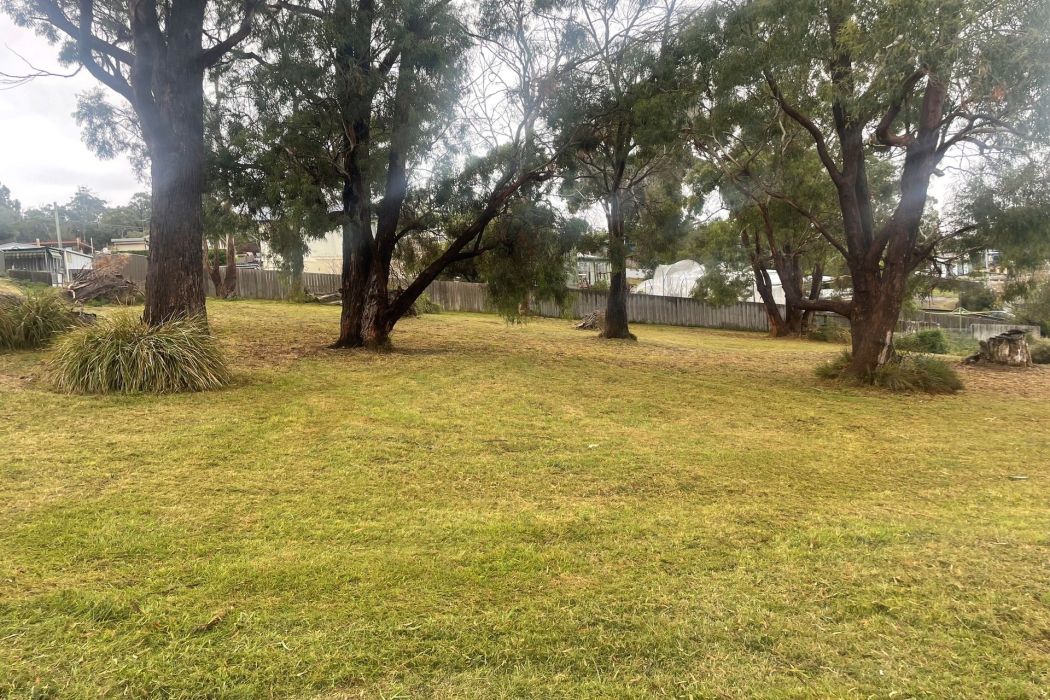 9 Boobyalla Street, Primrose Sands, TAS, 7173