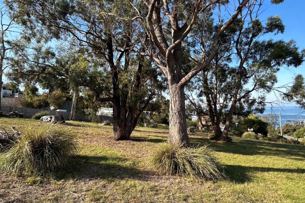 9 Boobyalla Street, Primrose Sands, TAS, 7173