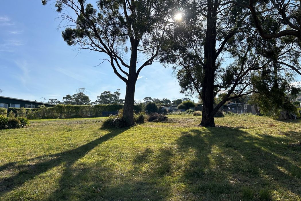 9 Boobyalla Street, Primrose Sands, TAS, 7173