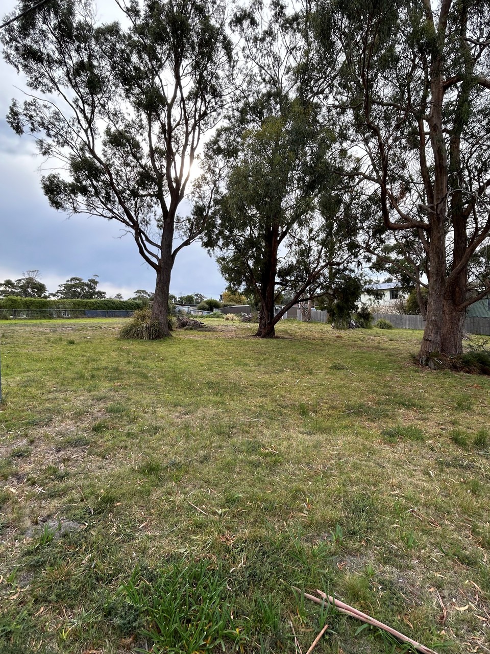 9 Boobyalla Street, Primrose Sands, TAS, 7173