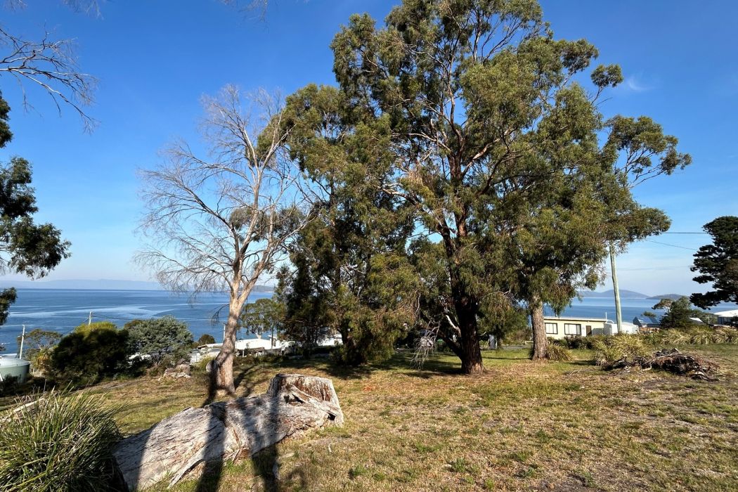 9 Boobyalla Street, Primrose Sands, TAS, 7173