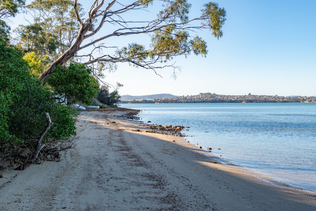 565 Shark Point Road, Penna, TAS, 7171