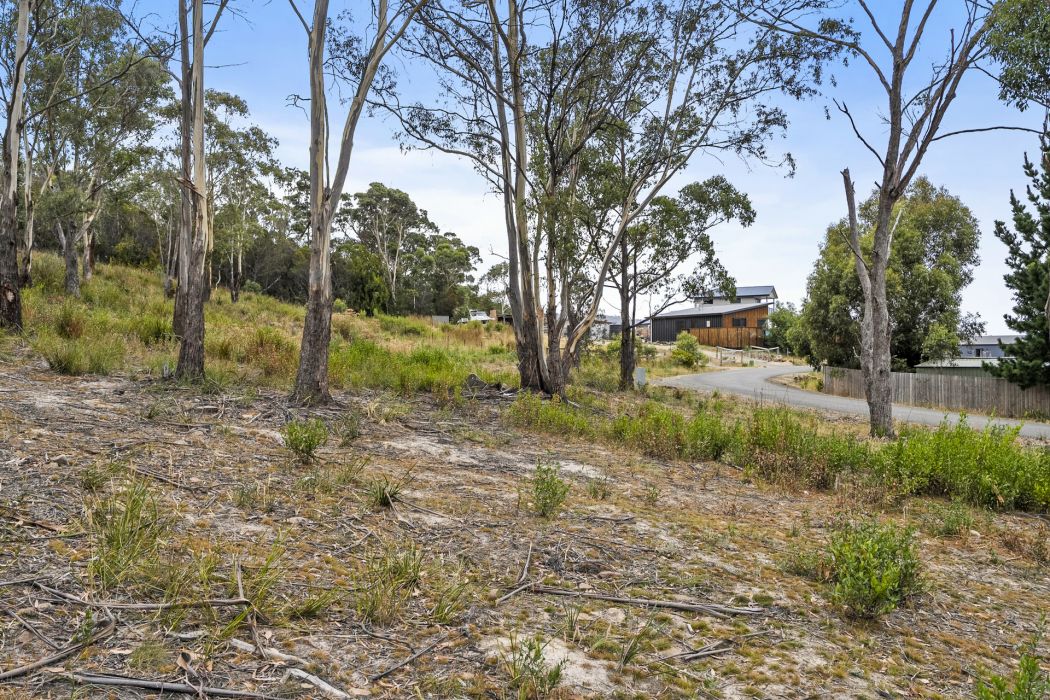 9 Mola Court, White Beach, TAS, 7184