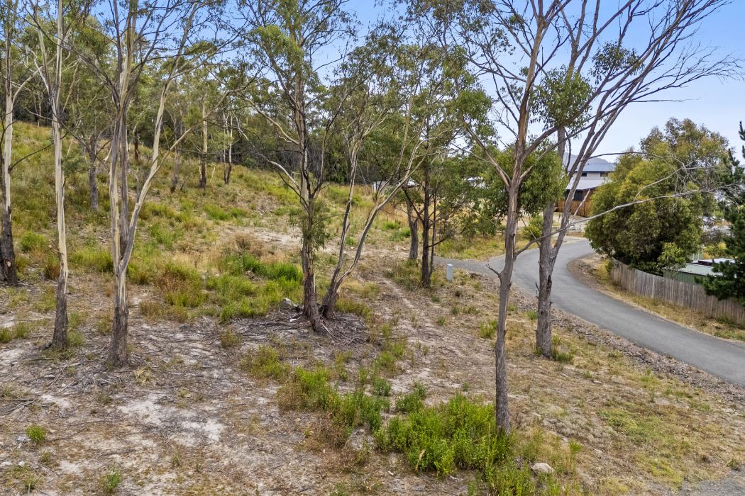 9 Mola Court, White Beach, TAS, 7184