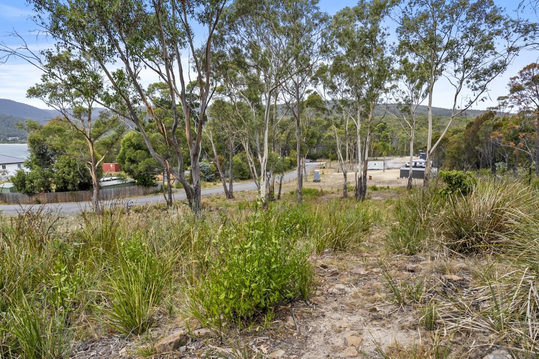 9 Mola Court, White Beach, TAS, 7184