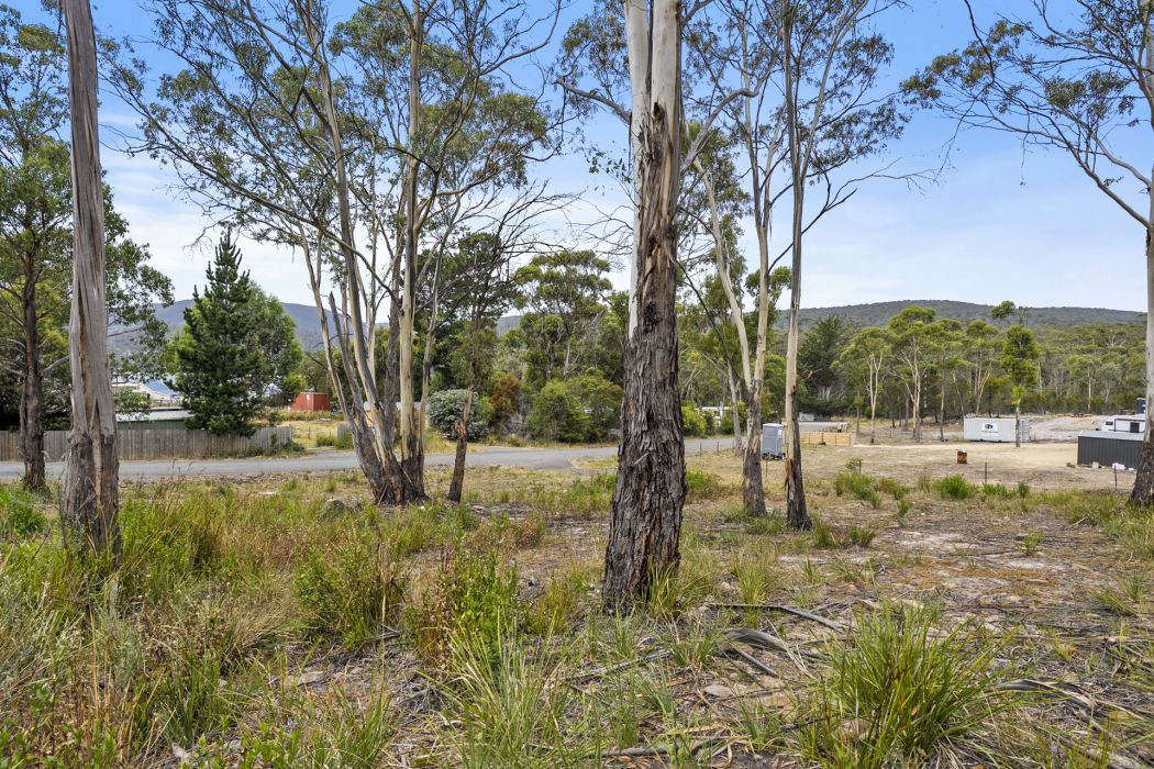 9 Mola Court, White Beach, TAS, 7184