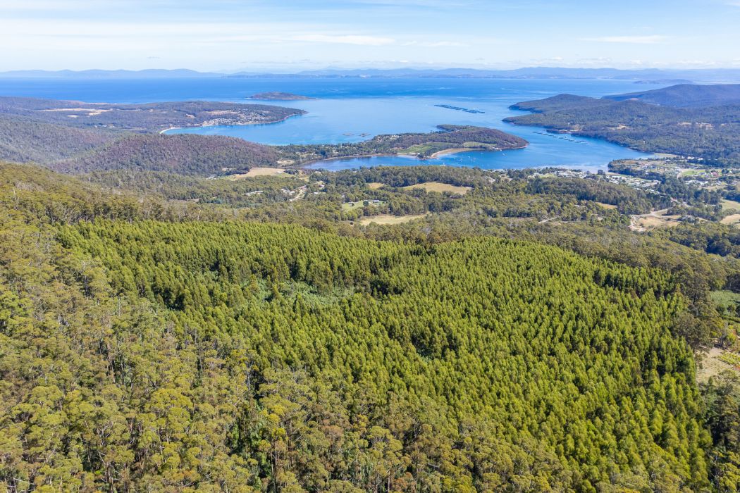 120 Tip Road, Nubeena, TAS, 7184
