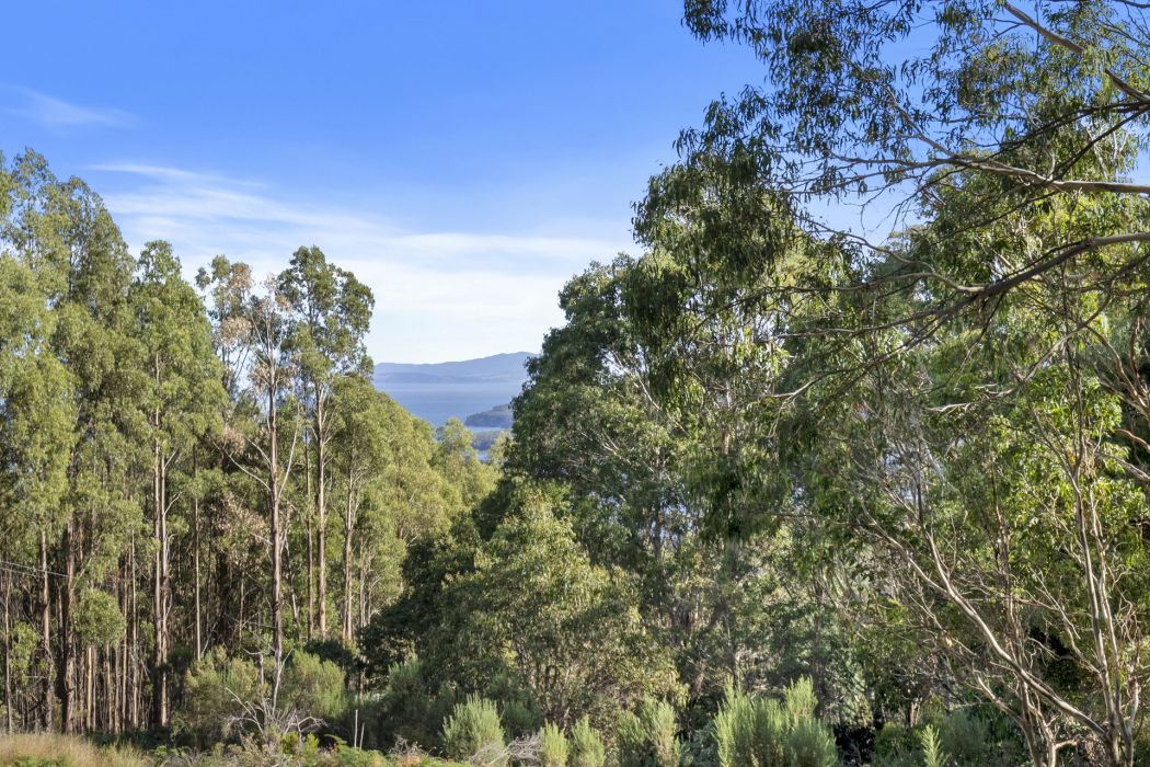 120 Tip Road, Nubeena, TAS, 7184