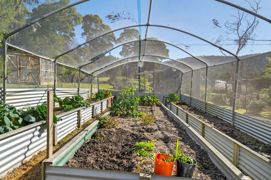 40 Ferntree Road, Eaglehawk Neck, TAS, 7179