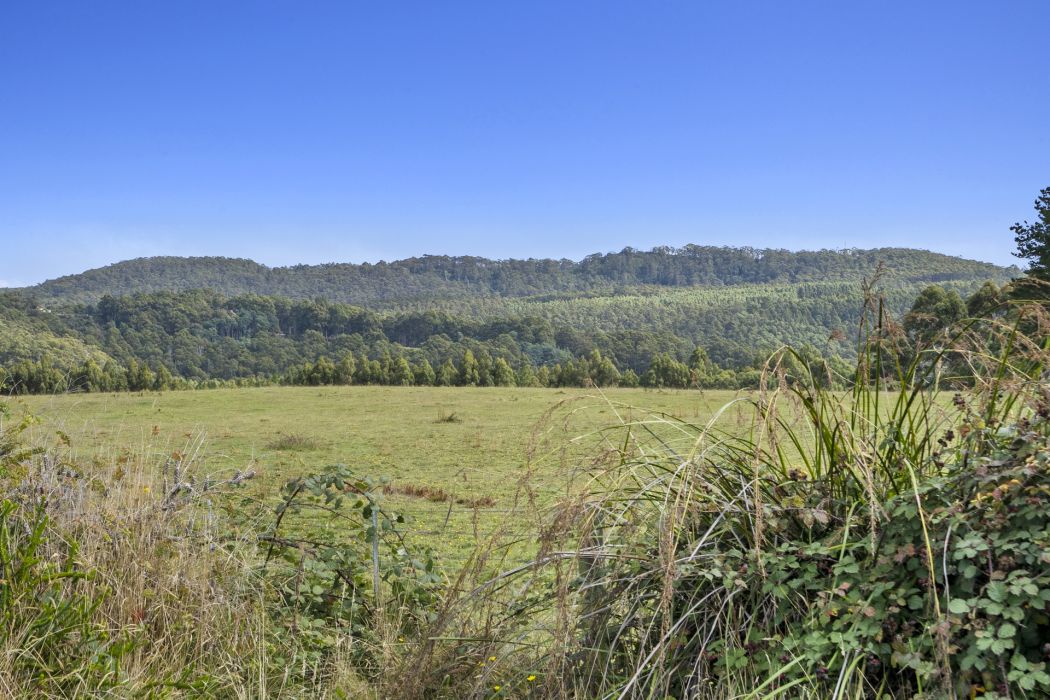 6 Wencks Road, Port Arthur, TAS, 7182