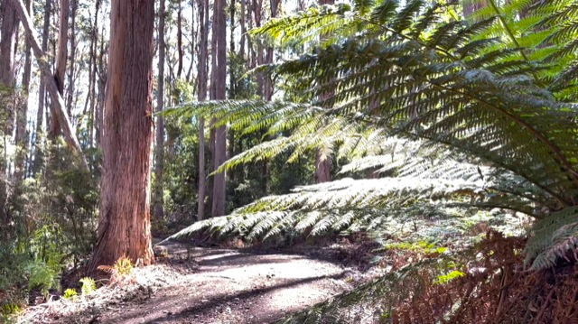Lot 2 Lookout Road, Port Arthur, TAS, 7182