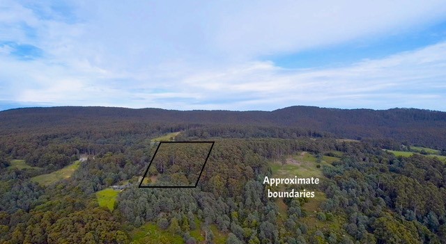 Lot 2 Lookout Road, Port Arthur, TAS, 7182