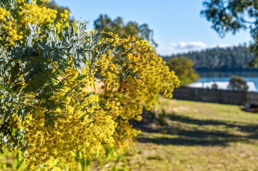 130 Sommers Bay Road, Murdunna, TAS, 7178