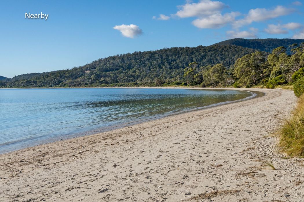 50 Lagoon Road, White Beach, TAS, 7184