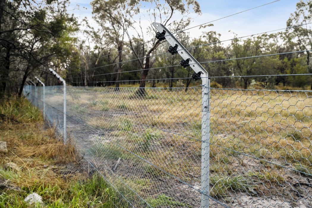 3272 Tasman Highway, Orielton, TAS, 7172