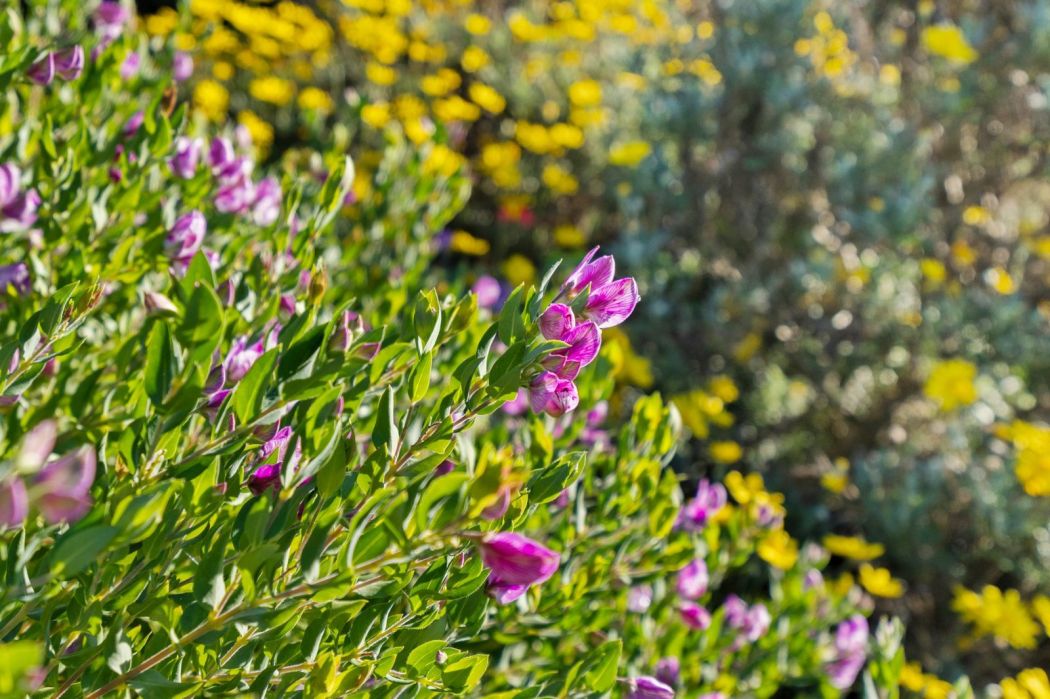 19 Midden Road, Primrose Sands, TAS, 7173