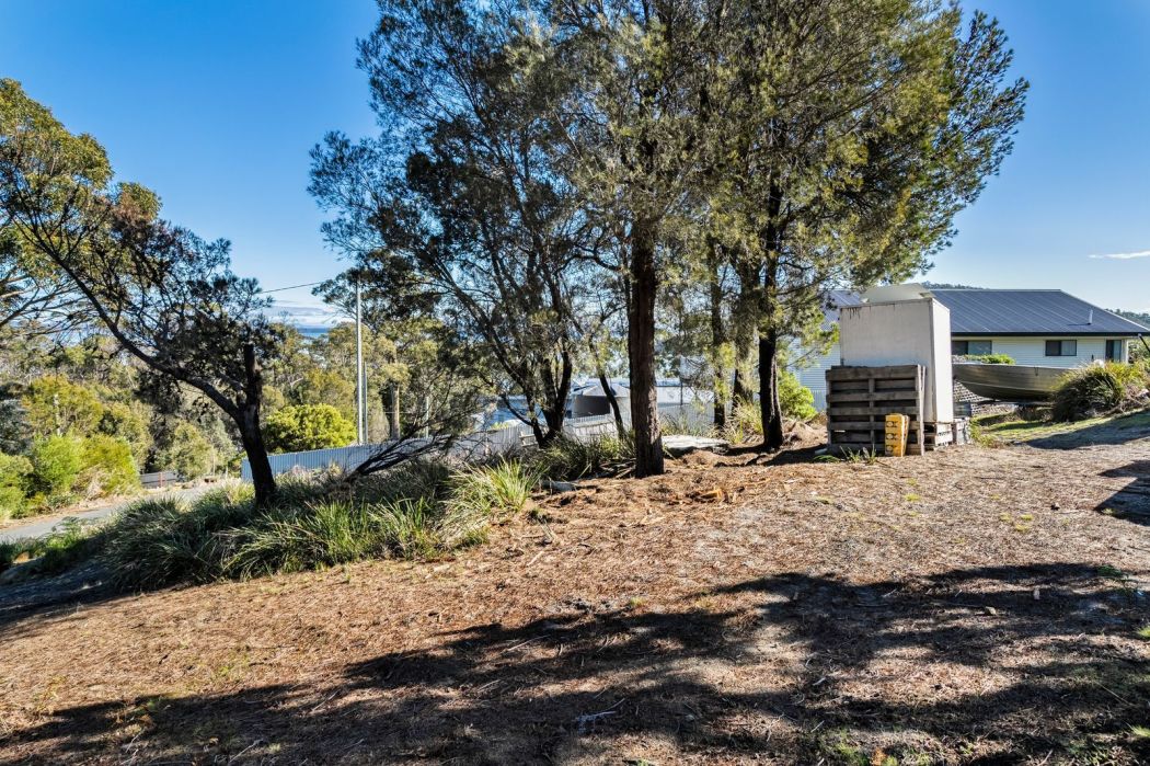 667 Sommers Bay Road, Murdunna, TAS, 7178