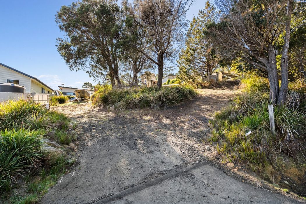 667 Sommers Bay Road, Murdunna, TAS, 7178