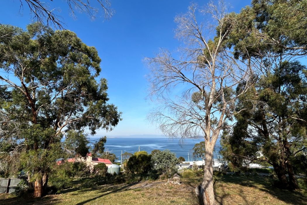 Lot 36 9 Boobyalla Street, Primrose Sands, TAS, 7173