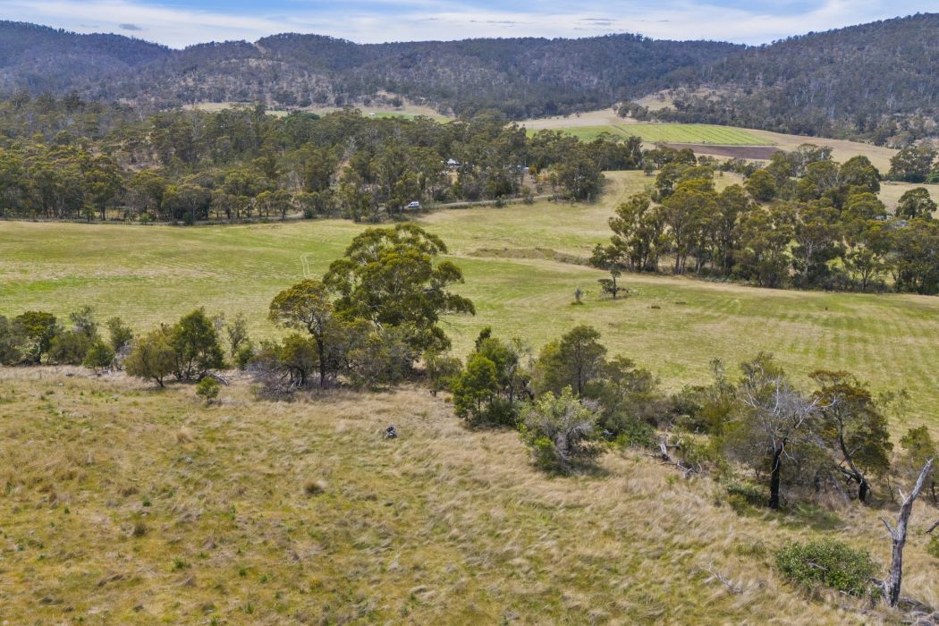 34 Aldridge Road, Orielton, TAS, 7172