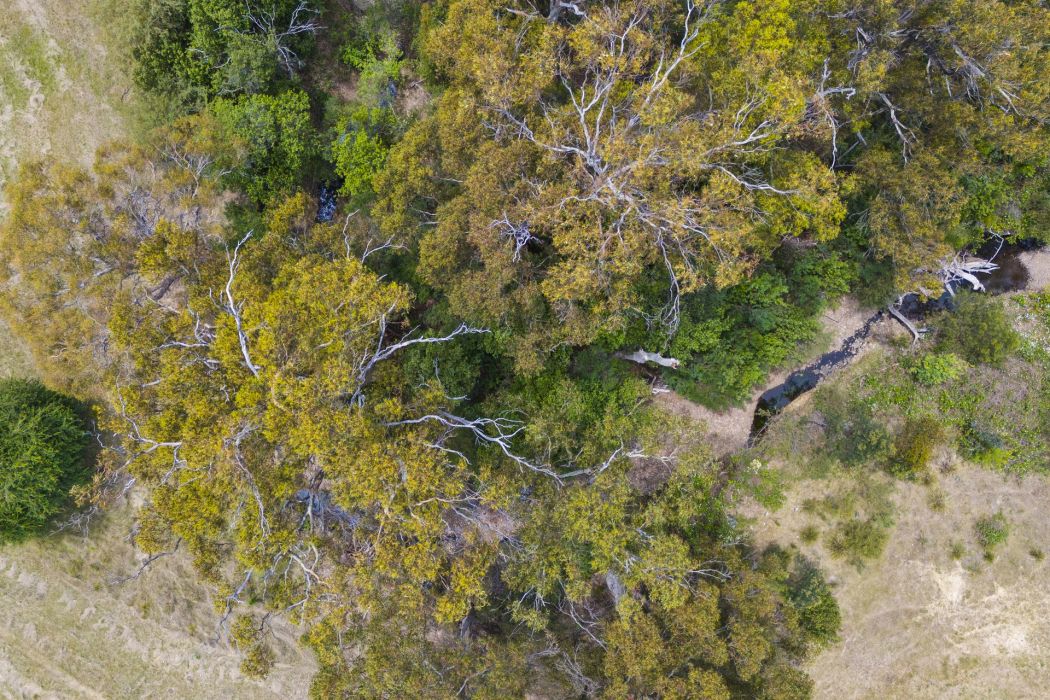 34 Aldridge Road, Orielton, TAS, 7172