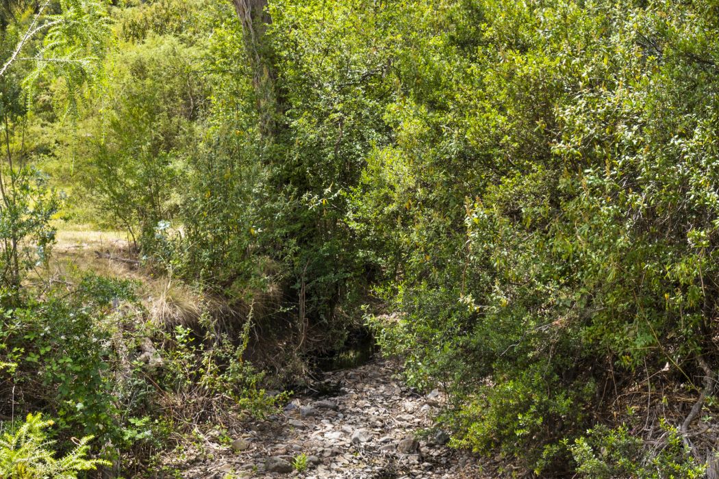 34 Aldridge Road, Orielton, TAS, 7172