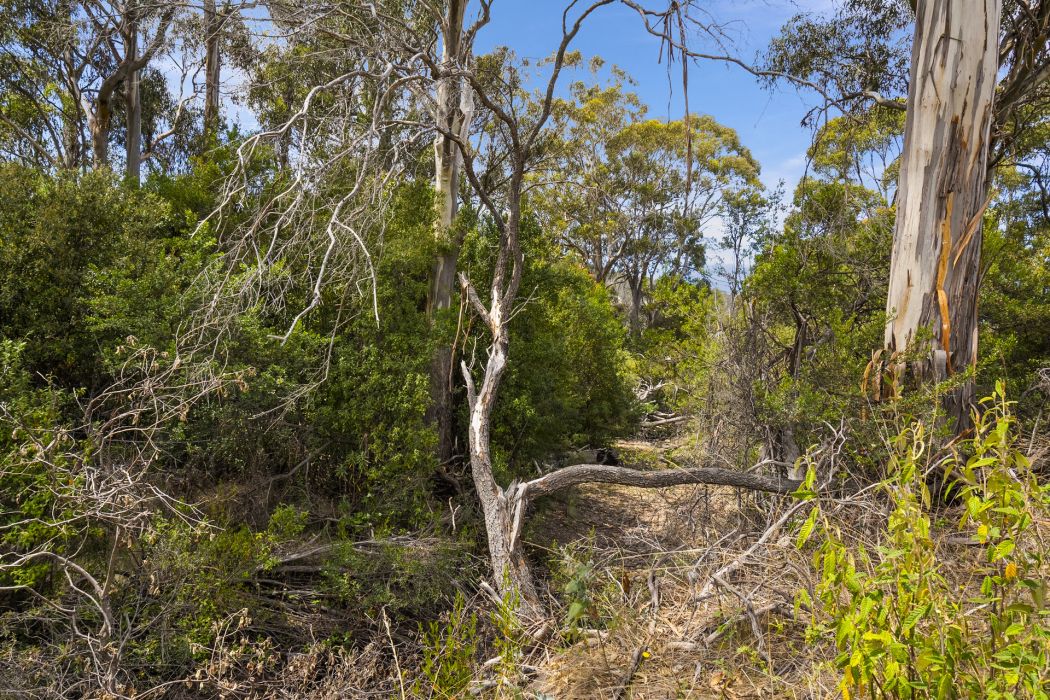 34 Aldridge Road, Orielton, TAS, 7172