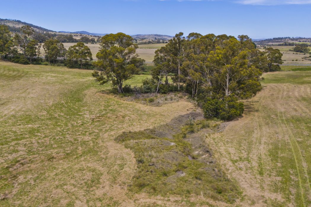 34 Aldridge Road, Orielton, TAS, 7172