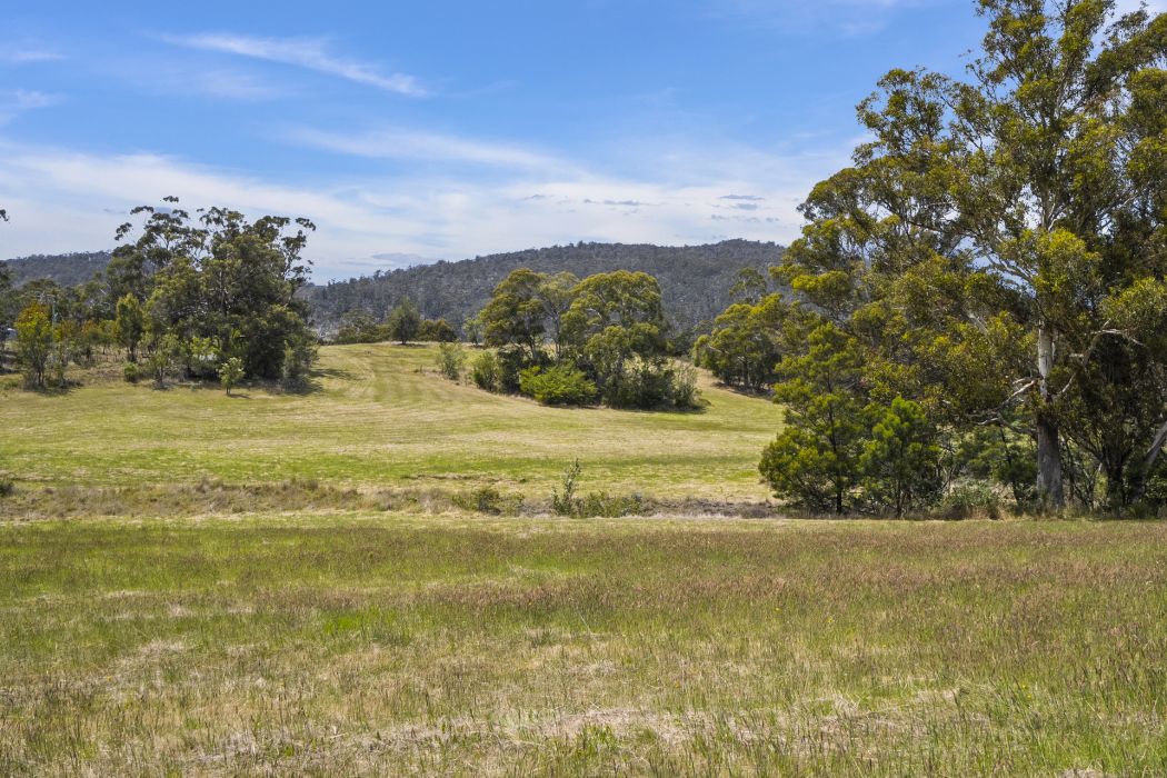 34 Aldridge Road, Orielton, TAS, 7172