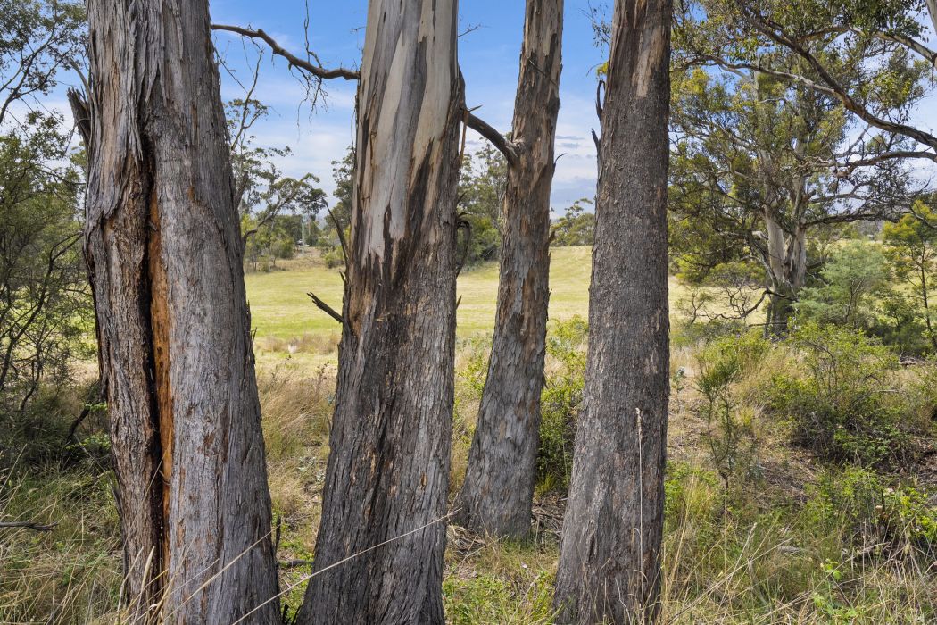34 Aldridge Road, Orielton, TAS, 7172