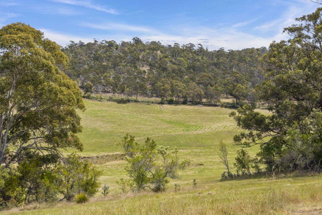 34 Aldridge Road, Orielton, TAS, 7172