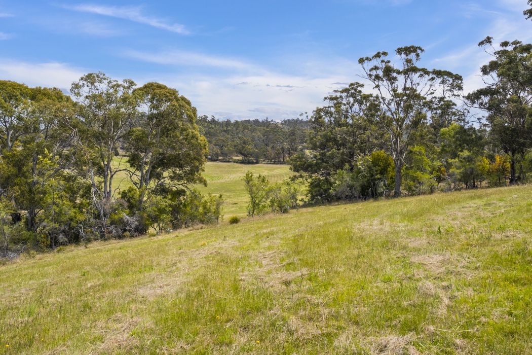34 Aldridge Road, Orielton, TAS, 7172