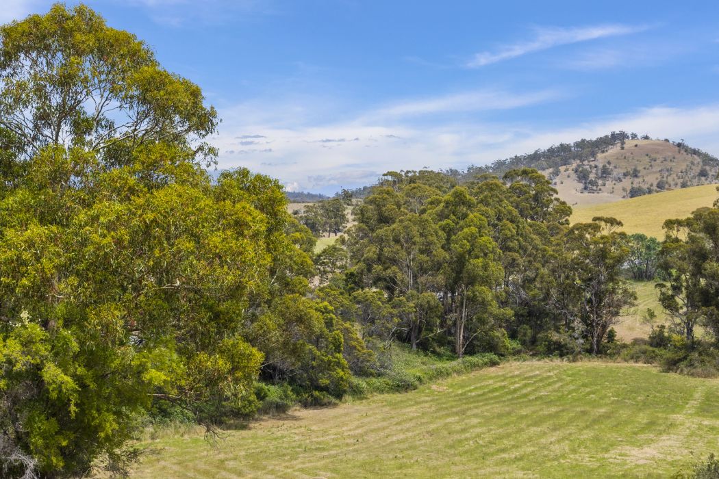 34 Aldridge Road, Orielton, TAS, 7172