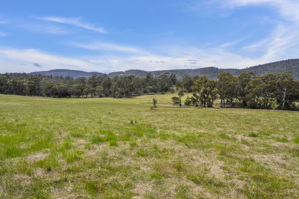 34 Aldridge Road, Orielton, TAS, 7172