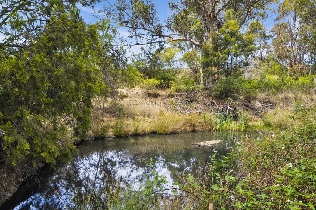 34 Aldridge Road, Orielton, TAS, 7172