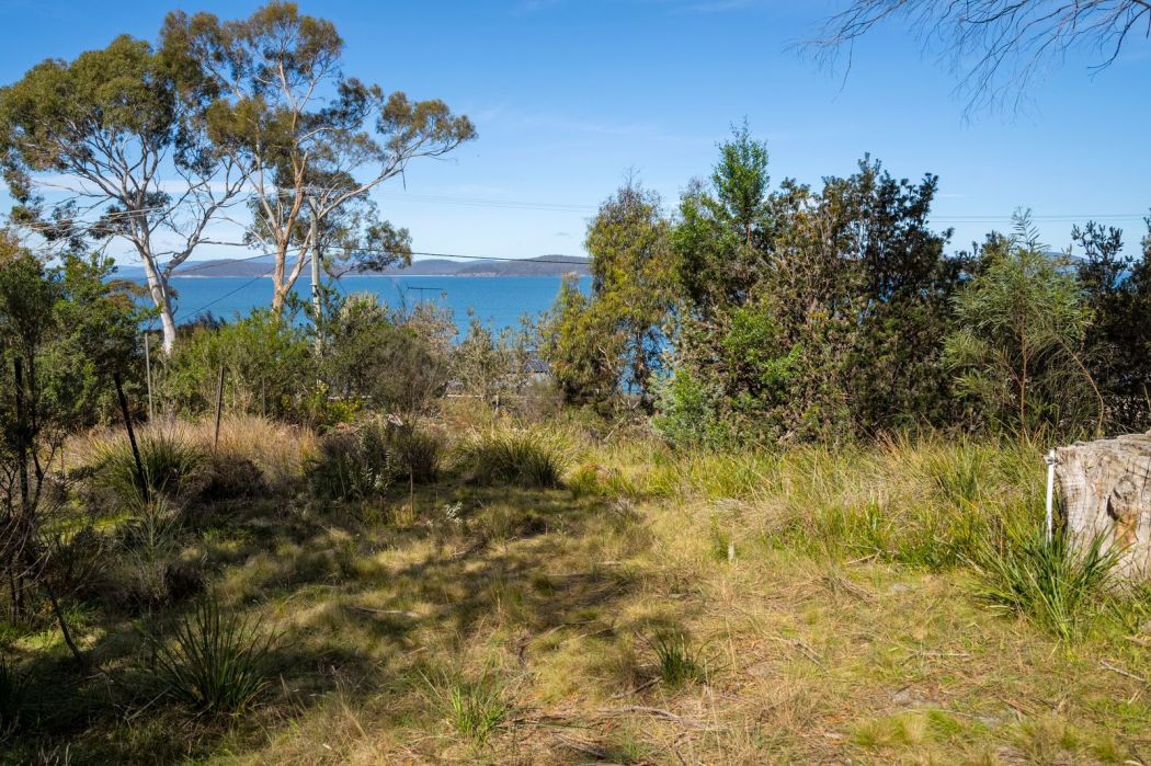 16 Susans Bay Road, Primrose Sands, TAS, 7173