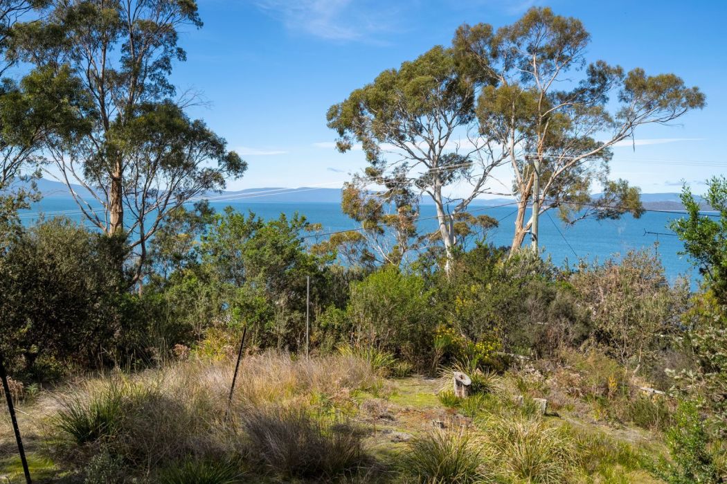 16 Susans Bay Road, Primrose Sands, TAS, 7173