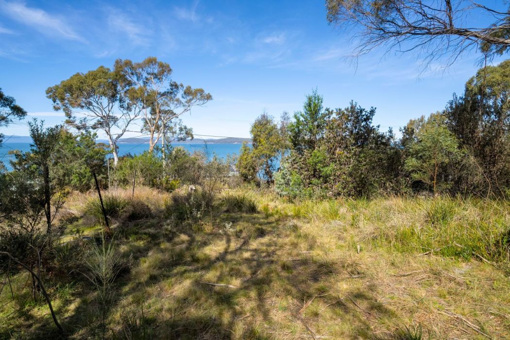 16 Susans Bay Road, Primrose Sands, TAS, 7173