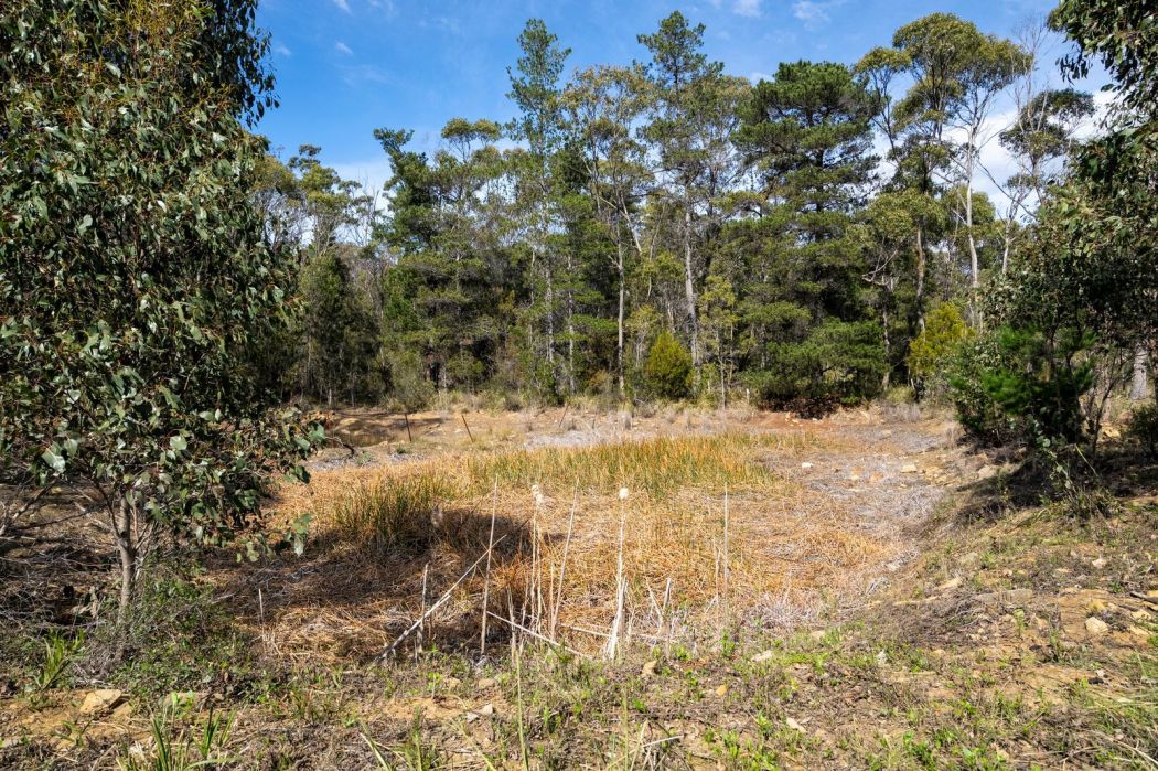 13 Noyes Road, White Beach, TAS, 7184